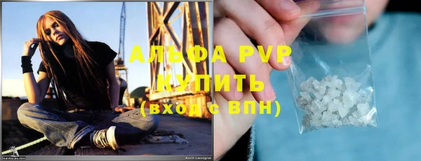 индика Балахна