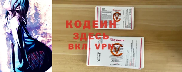 индика Балахна