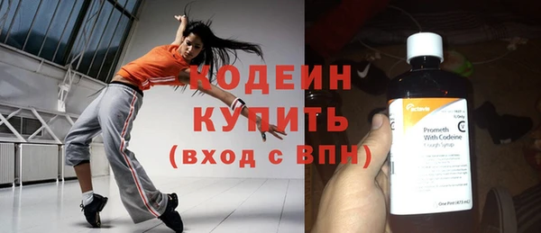 индика Балахна