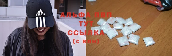 индика Балахна