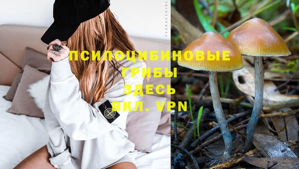 марки nbome Белая Холуница