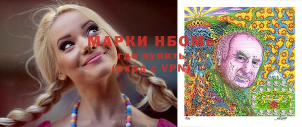 индика Балахна