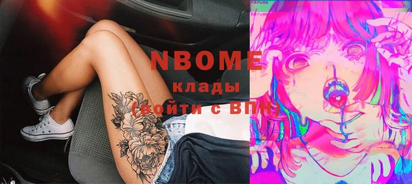 индика Балахна